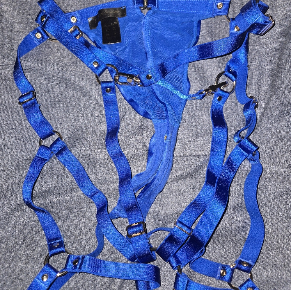 Honey Birdette Blue Harness Panty